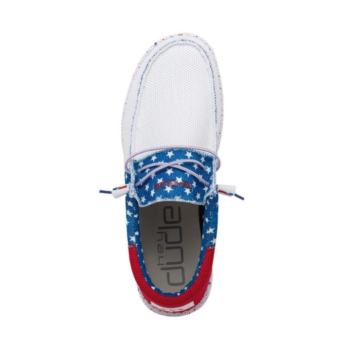 ヘイ・デュード・アメリカン・プライド ウォーリー・ソックス・トライ