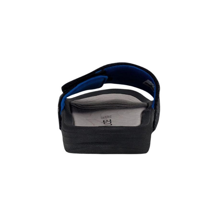 ヘイ・デュード・ブラック・フェニックス・ソックス