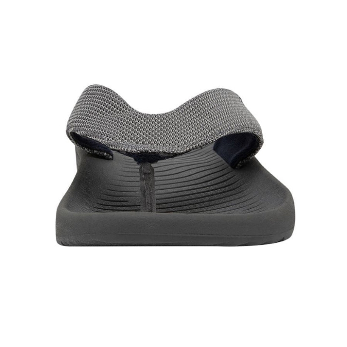 マイロ・グレイ・ヘイ・デュード